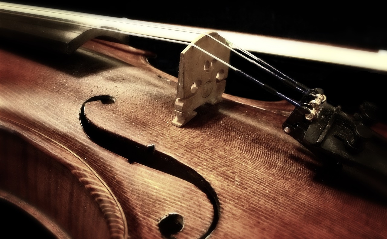 VIOLINO